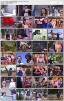 Shaolin Ex Monk [1978]x264DVDrip(KungFu Classics)