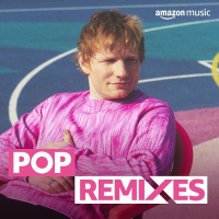 VA - Pop Remixes - 23-05- 2025 - FLAC 16BITS 44.1KHZ-EICHBAUM