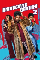 Undercover Brother 2 2019 1080p BluRay x264-TheWretched[TGx]