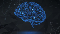 [ FreeCourseWeb ] Udemy - Neuroplasticity SUPERPOWER- How To Rewire Your Brain