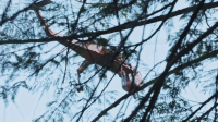 Timber Titans S01E08 720p WEBRip x264-BAE EZTV Timber Titans S01E08 720p WEBRip x264-BAE EZTV