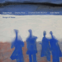 Juan Ibarra - Songs of Water (2025) [FLAC 16Bit]