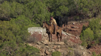 Aerial Adventures S01E11 Wild Creatures XviD-AFG EZTV Aerial Adventures S01E11 Wild Creatures XviD-AFG EZTV