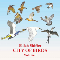 Elijah Shiffer - City Of Birds Vol I (2023) FLAC