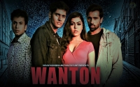 Wanton (2020) Hindi 720p HDRip x264 AAC