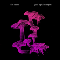 Dan Wilson - good night, los angeles (2025) [FLAC 16Bit]