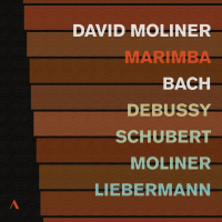 David Moliner - Marimba (2025) FLAC David Moliner - Marimba (2025) FLAC