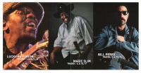 4 blues guitar masters - various (2011) 4 blues guitar masters - various (2011)