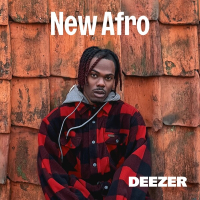 VA - New Afro - 27-09-2024 - mp3 320kbps-EICHBAUM