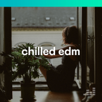 VA - Chilled EDM (2020) (Opus ~128) [Only2]