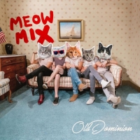 Old Dominion - Old Dominion Meow Mix (2020) FLAC [Hunter]