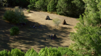 Aerial Adventures S01E12 Native Lands 1080p WEB h264-CAFFEiNE EZTV Aerial Adventures S01E12 Native Lands 1080p WEB h264-CAFFEiNE EZTV