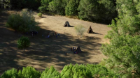 Aerial Adventures S01E12 Native Lands XviD-AFG EZTV Aerial Adventures S01E12 Native Lands XviD-AFG EZTV