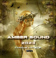 VA - Amber Sound (2023) [MP3 320K] {PSF-17}