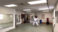 [ FreeCourseWeb ] Udemy - World USA karate, orange belt
