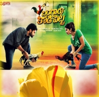 Love And Live (Bangaru Kodipetta) (2019) South Hindi Dubbed 720P Hdrip