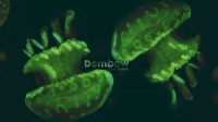 Danny Ocean - Dembow.mp3 (2017) MP3 VBR 0
