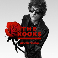 The Kooks - Never_Know (2025) Mp3 320kbps (marzy)