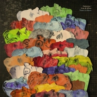 Iron & Wine and Calexico - Years to Burn (2019) [320]