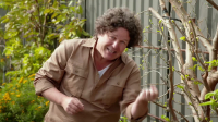 Gardening Australia S35E18 1080p HDTV H264-CBFM EZTV Gardening Australia S35E18 1080p HDTV H264-CBFM EZTV