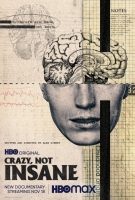 Crazy, Not Insane 2020 MultiSub 720p x265-StB