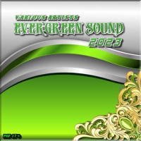 VA - EVERGREEN SOUND (2023) [MP3 320K] {PSF-17}