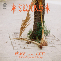 Twins - Healing Dreams (2025) [FLAC 16Bit]
