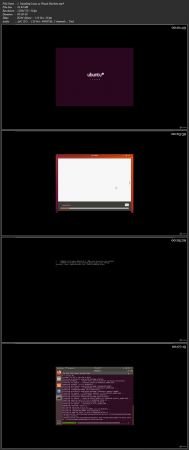 [ FreeCourseWeb ] Udemy - Linux x86 Assembly and Shellcoding