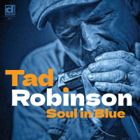 Tad Robinson - Soul In Blue (2025) [FLAC 16Bit]