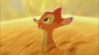 Bambi 2 (2006) 1080p crtani filmovi hrvatski sink [remastered]