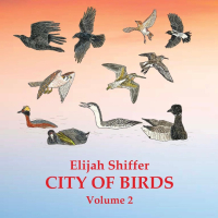 Elijah Shiffer - City Of Birds Vol 2 (2025) FLAC
