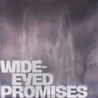 Matthias Gusset - Wide-Eyed Promises (2025) [FLAC 16Bit]