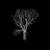 [acoustic, indie-folk] (2020) Fink - Bloom Innocent (Acoustic) [FLAC] [DarkAngie]