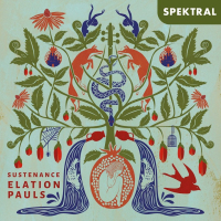 Elation Pauls - Sustenance (2025) [FLAC 16Bit]