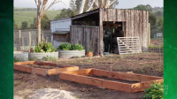 Gardening Australia S35E16 XviD-AFG EZTV Gardening Australia S35E16 XviD-AFG EZTV