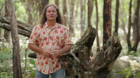Gardening Australia S35E17 XviD-AFG EZTV Gardening Australia S35E17 XviD-AFG EZTV
