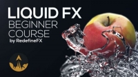 [ FreeCourseWeb ] INE - Phoenix FD Beginner Liquid FX Course