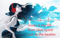 MUSIC IS MY LIFE - FROM BLUE OYSTER CULT TO THE BEATLES