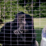 Zoombies 2016 720p BluRay H264 AAC