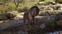 The Lion King (2019) [BluRay] [3D] [YTS] [YIFY]