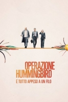 The Hummingbird Project 2018 iTALiAN 1080p WEB x264-MeM mkv