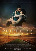 Priceless 2016 1080p BluRay X264-AMIABLE