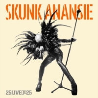 Skunk Anansie - 25LIVEat25 (2019) mp3 320 Kbps FMDL