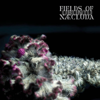 Fields Of Naecluda - Ubuntu (2024) MP3