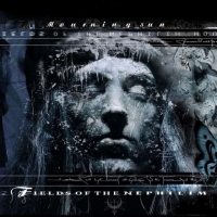 Fields of the Nephilim - Mourning Sun (2005) (Gothic Rock) (MP3 320)