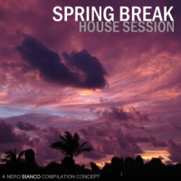 VA - Spring Break House Session (2011) (Opus ~128) [Only2]
