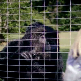 Zoombies 2016 BRRip XviD MP3-XVID