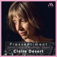 Claire Desert - Pressentiment (2025) [FLAC 16Bit]